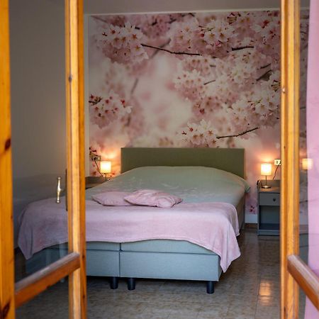Casa Biron Guest House Molino Sant'Anna ภายนอก รูปภาพ