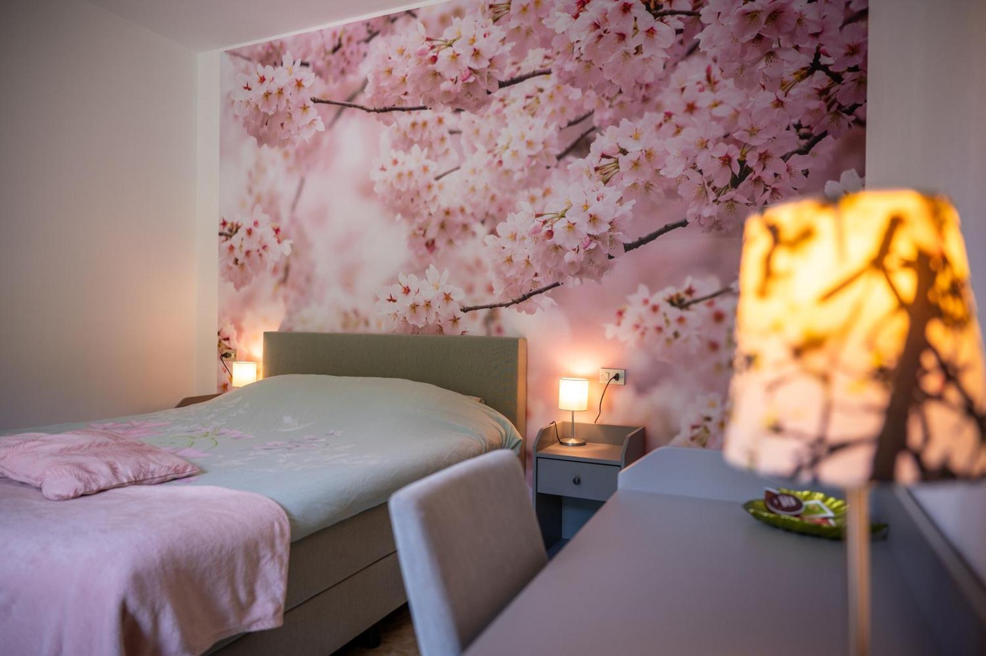 Casa Biron Guest House Molino Sant'Anna ภายนอก รูปภาพ