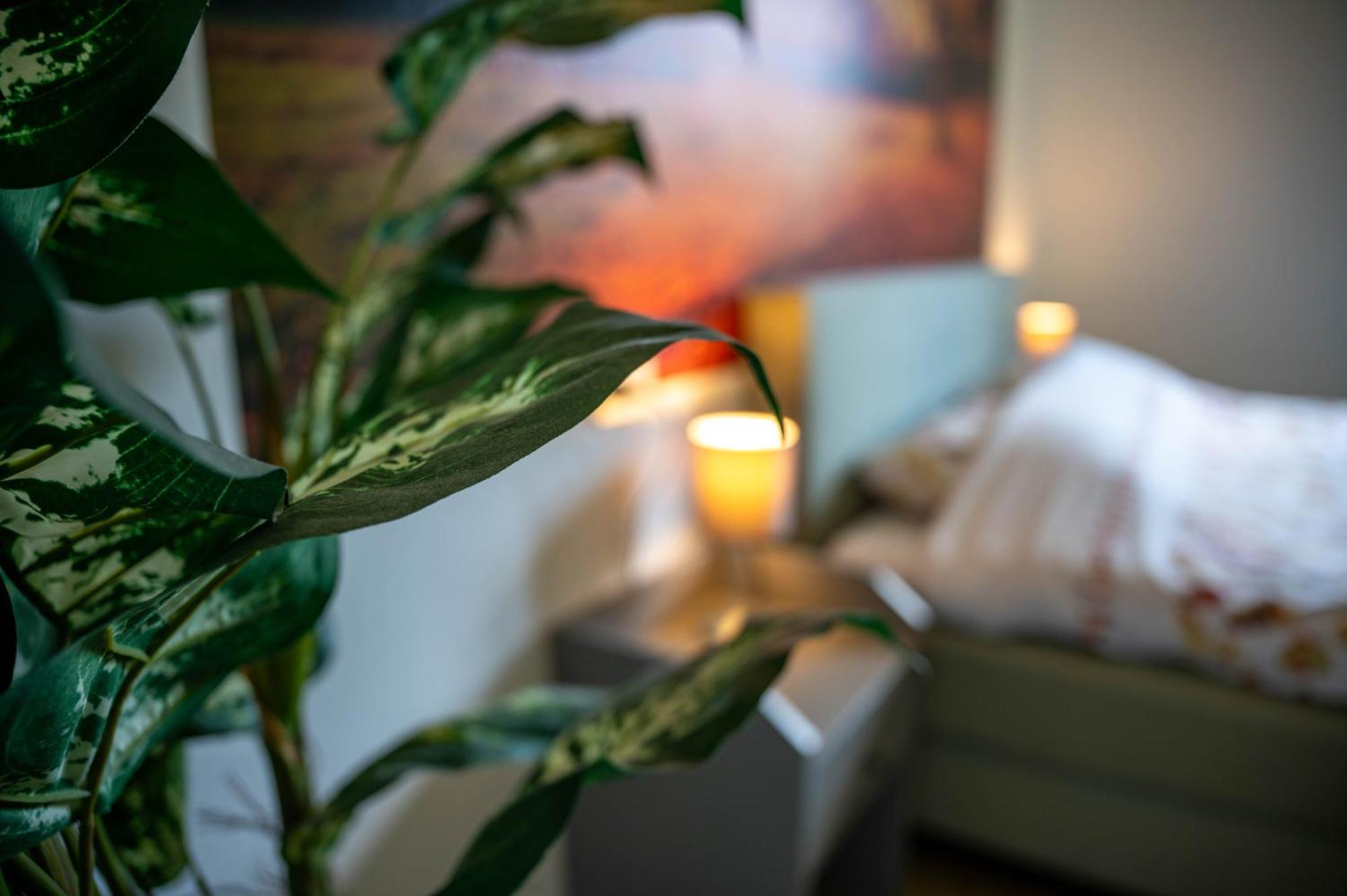 Casa Biron Guest House Molino Sant'Anna ภายนอก รูปภาพ